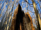 photo thumbnail #5