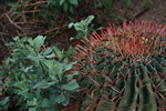 photo thumbnail #5