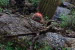 photo thumbnail #6