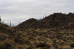photo thumbnail #10
