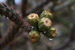 photo thumbnail #13