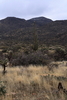 photo thumbnail #15