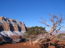 photo thumbnail #9