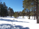photo thumbnail #8