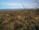photo thumbnail #8