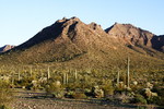 photo thumbnail #3