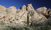 photo thumbnail #9