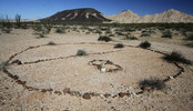 photo thumbnail #14