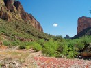 photo thumbnail #15
