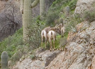 photo thumbnail #13