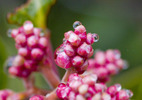 photo thumbnail #14