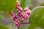 photo thumbnail #15