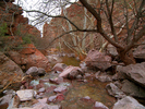 photo thumbnail #7