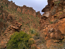 photo thumbnail #13