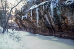 photo thumbnail #5