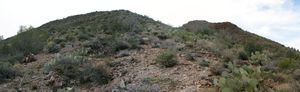 photo thumbnail #2