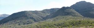photo thumbnail #3
