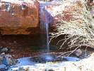 photo thumbnail #11