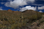 photo thumbnail #1