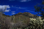 photo thumbnail #4