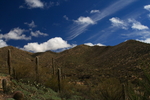 photo thumbnail #6