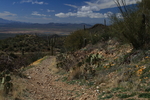photo thumbnail #10