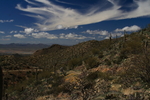 photo thumbnail #13