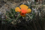 photo thumbnail #14