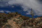 photo thumbnail #15