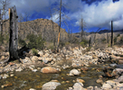 photo thumbnail #6