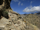 photo thumbnail #8