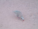 photo thumbnail #3