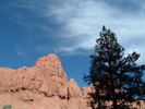 photo thumbnail #6