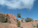 photo thumbnail #9