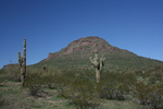 photo thumbnail #2