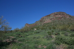 photo thumbnail #4