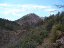recent photo