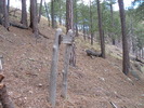 recent photo