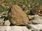 photo thumbnail #13