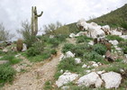 photo thumbnail #13