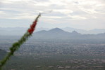 photo thumbnail #15