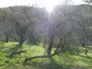 photo thumbnail #10