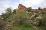 photo thumbnail #2