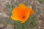 photo thumbnail #11