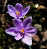 photo thumbnail #5