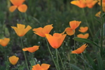 photo thumbnail #12