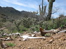 photo thumbnail #1