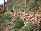 photo thumbnail #7
