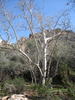 photo thumbnail #11
