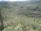 photo thumbnail #11